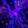 XCLSV Vol. 1